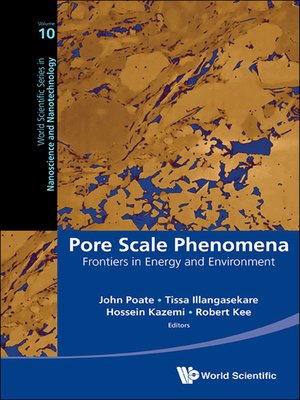 cover image of Pore Scale Phenomena